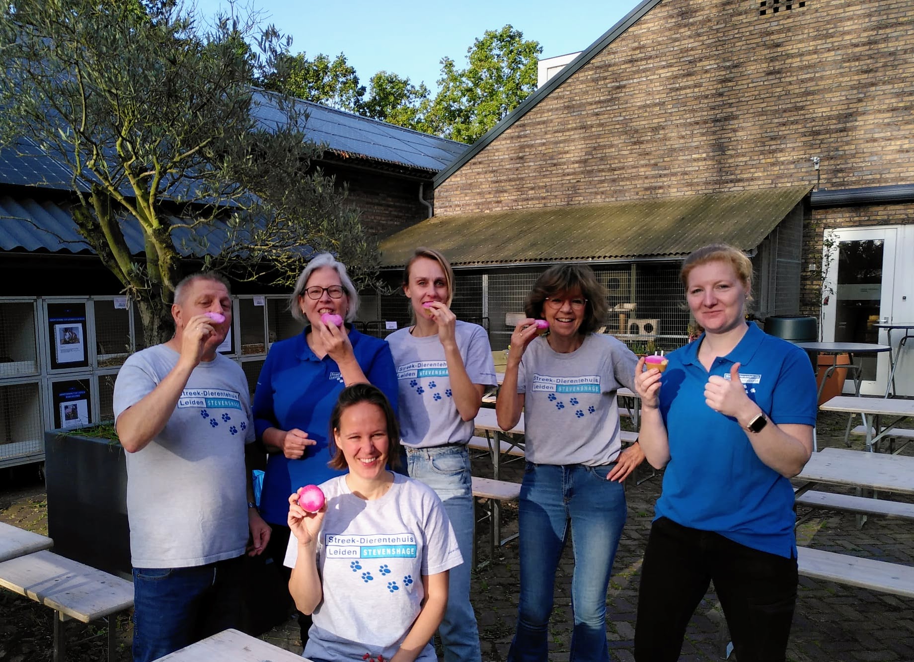 Medewerkers en vrijwilligers van Dierentehuis Stevenshage in Leiden genieten van de roze koeken van Donny Craves!