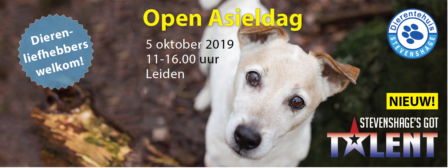 Open Asieldag op zaterdag 5 oktober 2019