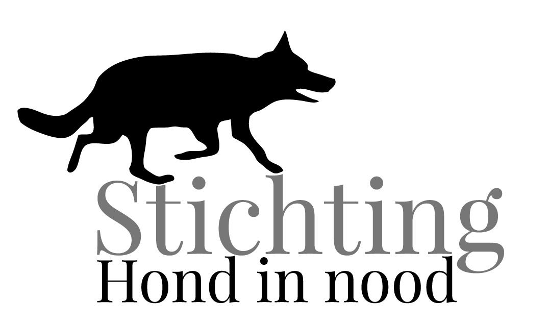 Stichting Hond in Nood traint asielhonden van Dierentehuis Stevenshage in Leiden