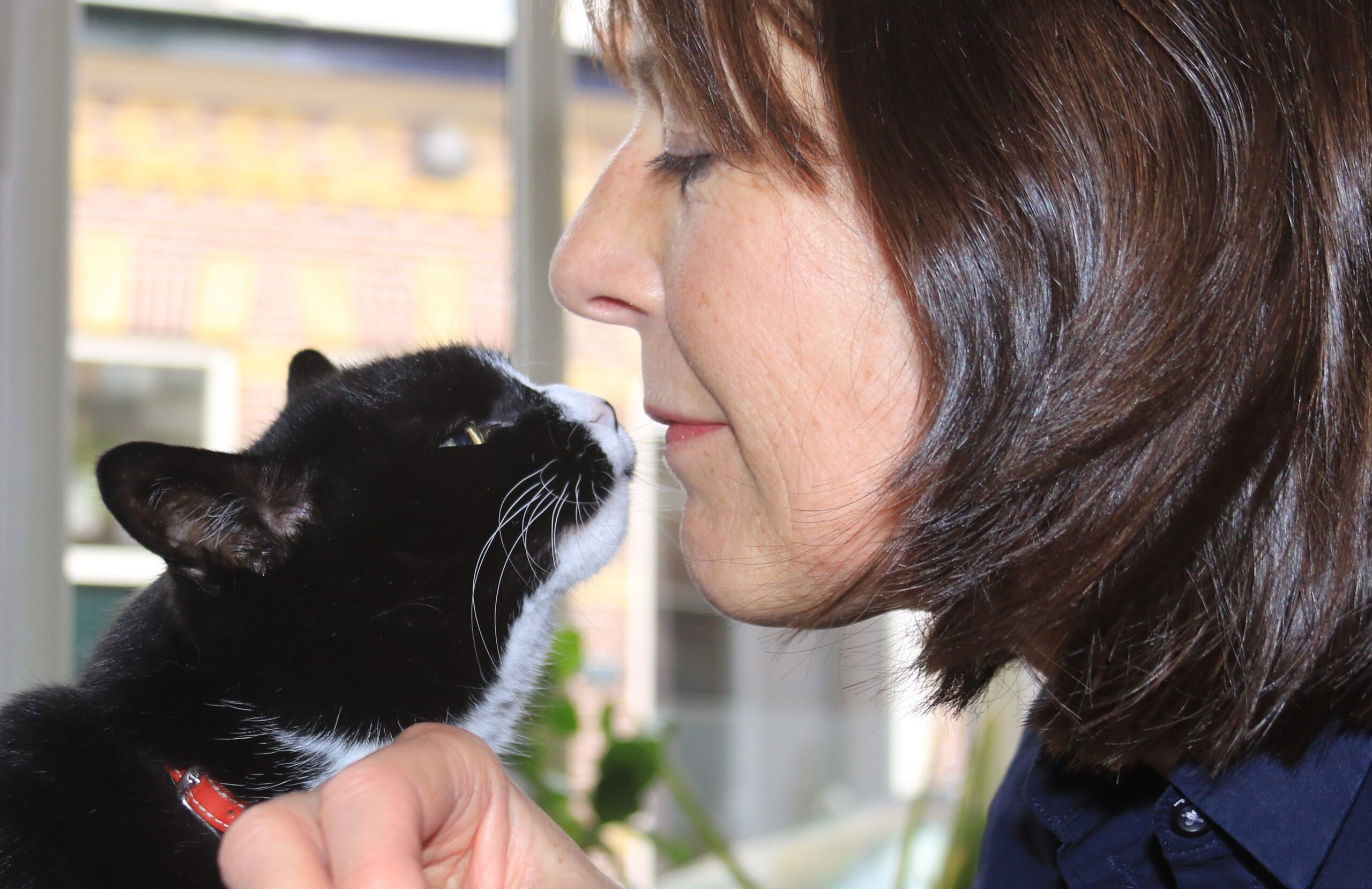 Vrijwilliger Katinka met haar eigen kat Koritsi, die ze 11 jaar geleden adopteerde uit Dierentehuis Stevenshage.