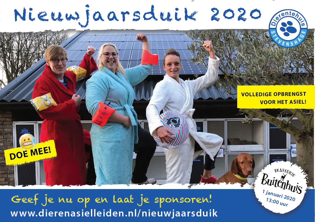 Doe mee met de Nieuwjaarsduik 2020 voor de asieldieren van Dierentehuis Stevenshage!