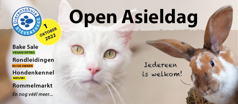 Kom op zaterdag 1 oktober 2022 tussen 11.00 en 16.00 uur naar de Open Asieldag van Dierentehuis Stevenshage in Leiden!