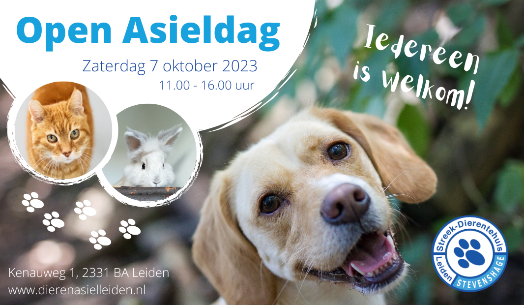 Klik op de afbeelding voor meer informatie over de Open Asieldag bij Dierentehuis Stevenshage in Leiden.