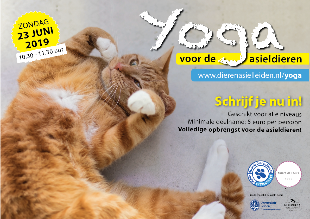 Uniek evenement op 23 juni 2019: Yoga voor de asieldieren van Stevenshage in Leiden!