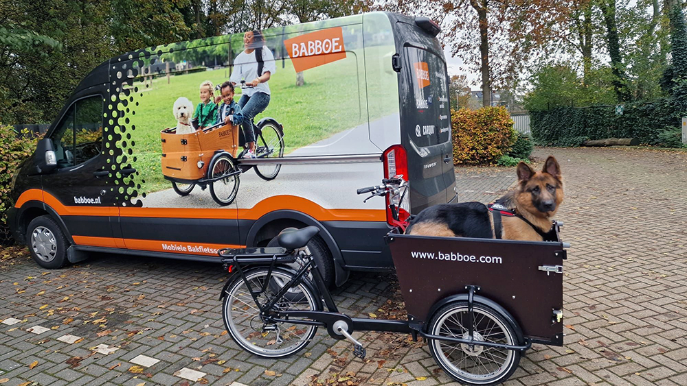 Asielhond Rex poseert in de gedoneerde Babboe Dog bakfiets bij Dierentehuis Stevenshage in Leiden!