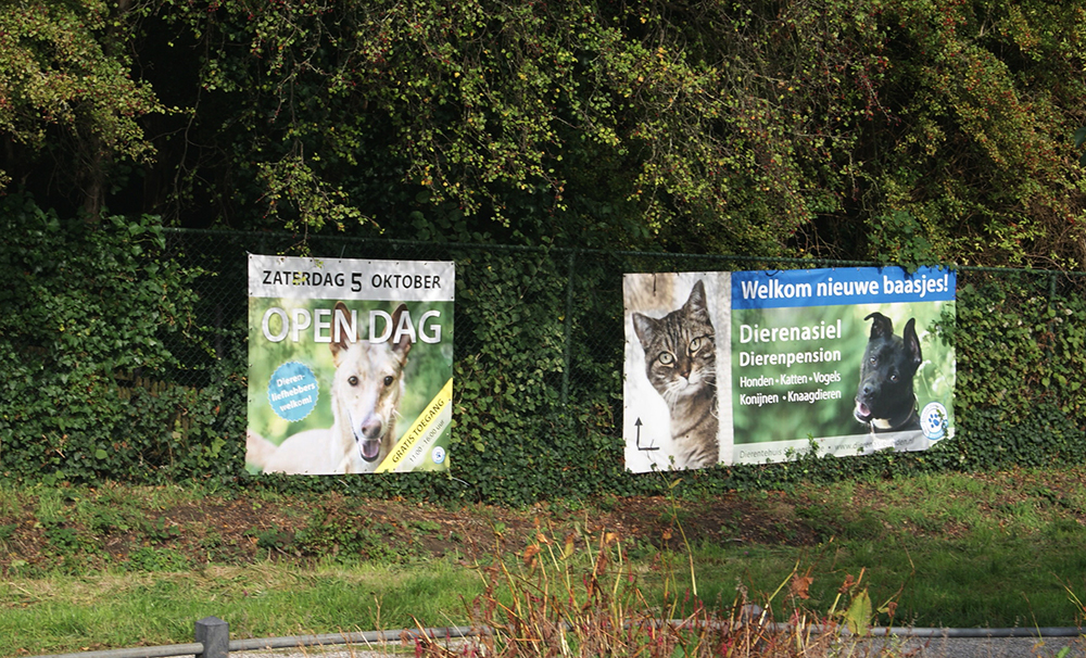 Elk jaar organiseert Dierentehuis Stevenshage in Leiden de Open Asieldag.
