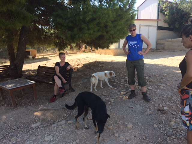 Dierenverzorgser Marlies en vrijwilliger Laura helpen in hun vakantie bij een asiel in Griekenland.