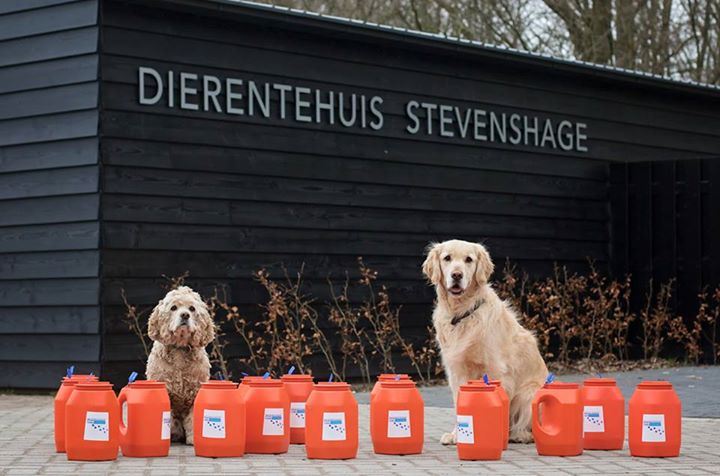 Klik op de afbeelding en doneer tijdens de collecteweek van Dierentehuis Stevenshage in Leiden!