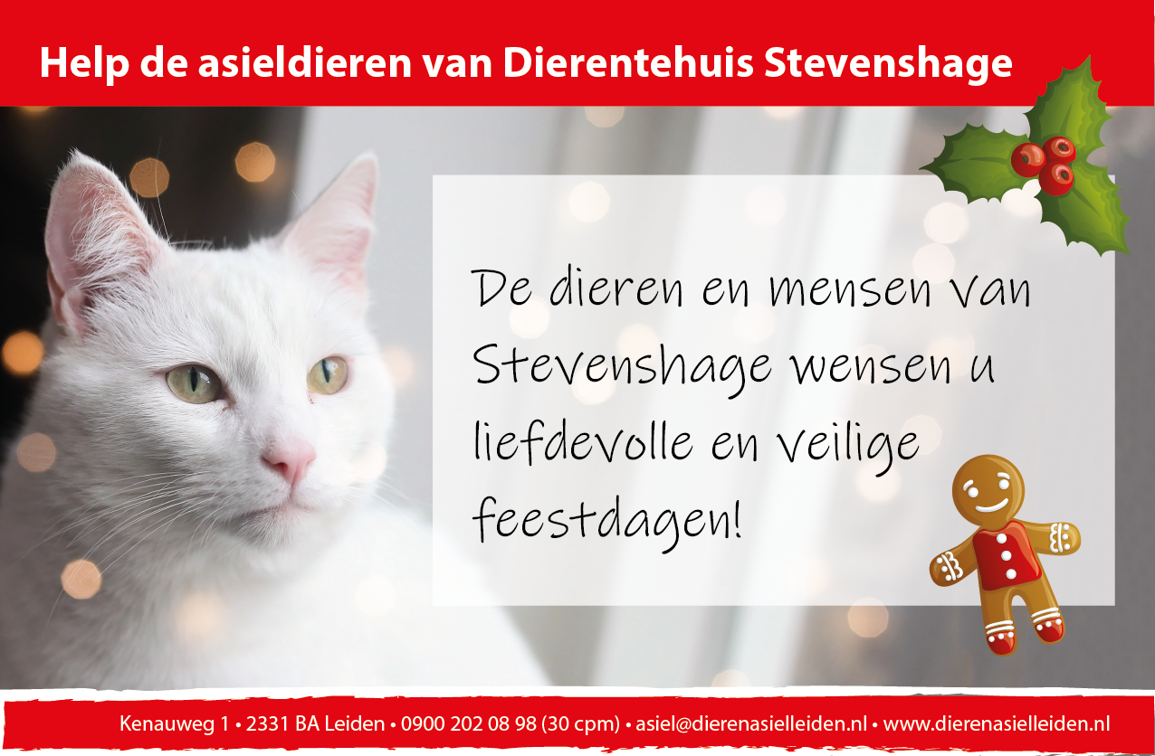 Doneer voor de asieldieren van Dierentehuis Stevenshage in Leiden!