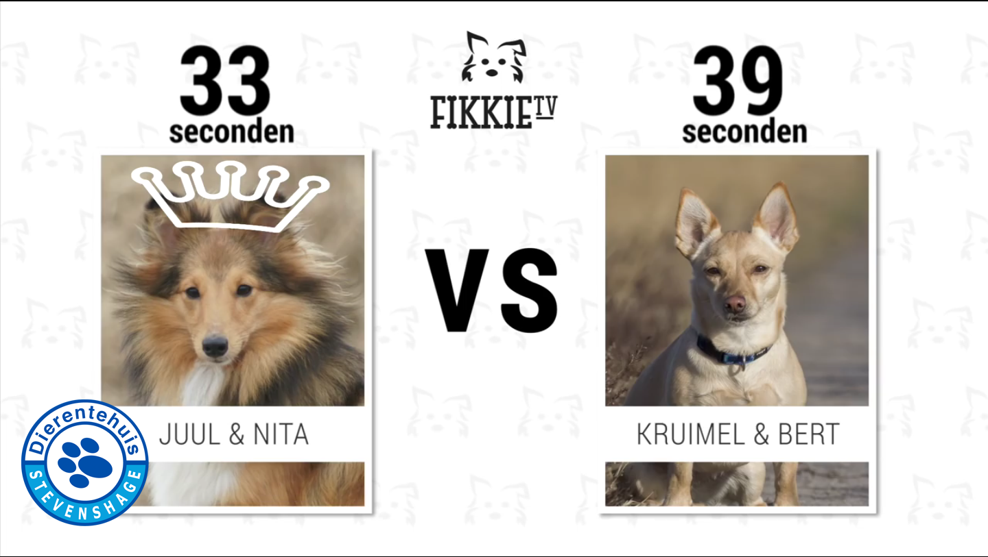 Juul & Nita naar de final van FikkieTV voor Dierentehuis Stevenshage!
