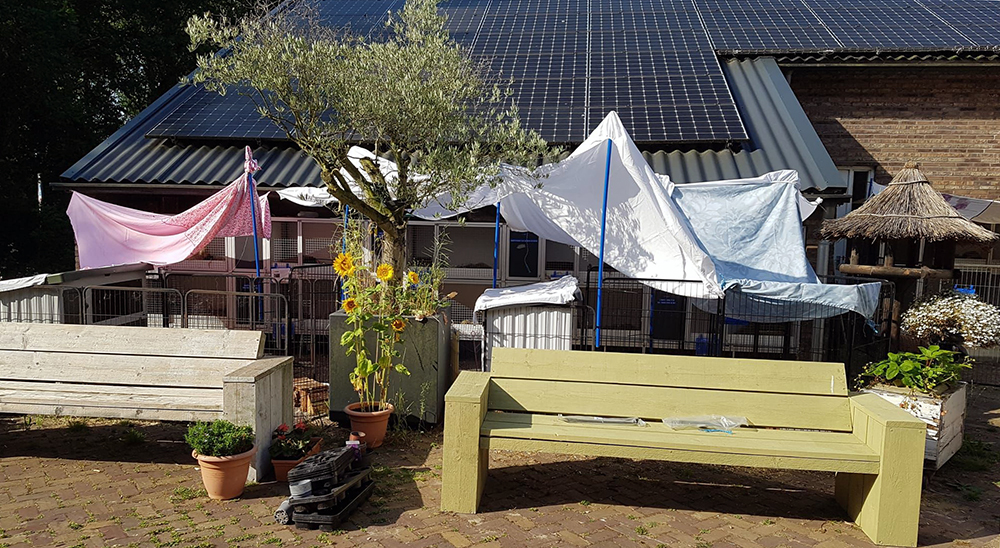Om de konijnen enigszins koel te houden is er een heus tentenkamp opgezet op het voorplein van Dierentehuis Stevenshage in Leiden.