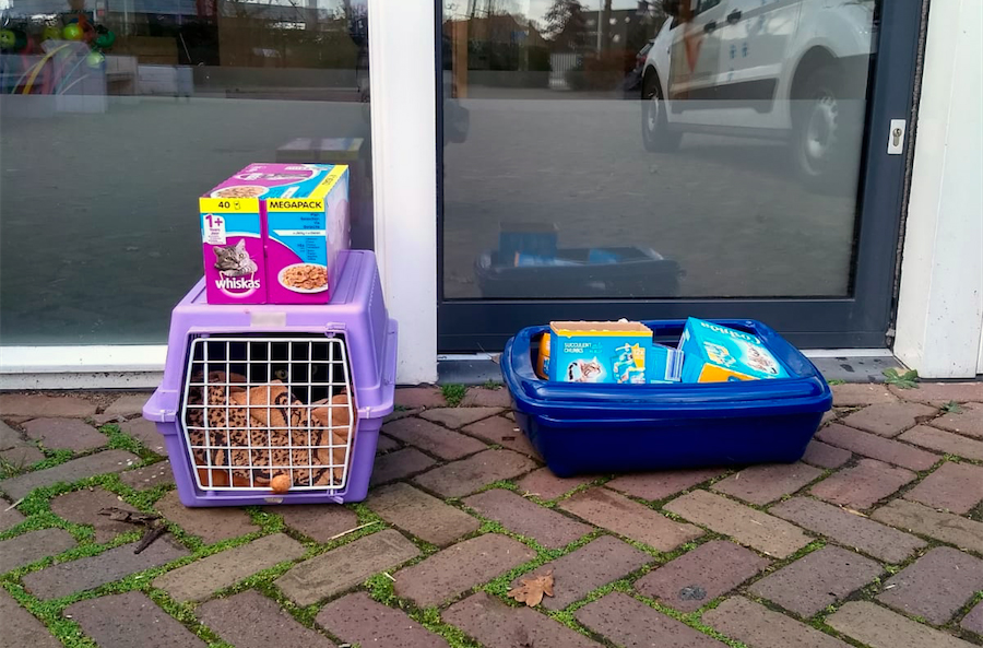 Een kat is met zijn hele hebben en houwen voor de deur gezet van Dierentehuis Stevenshage in Leiden.