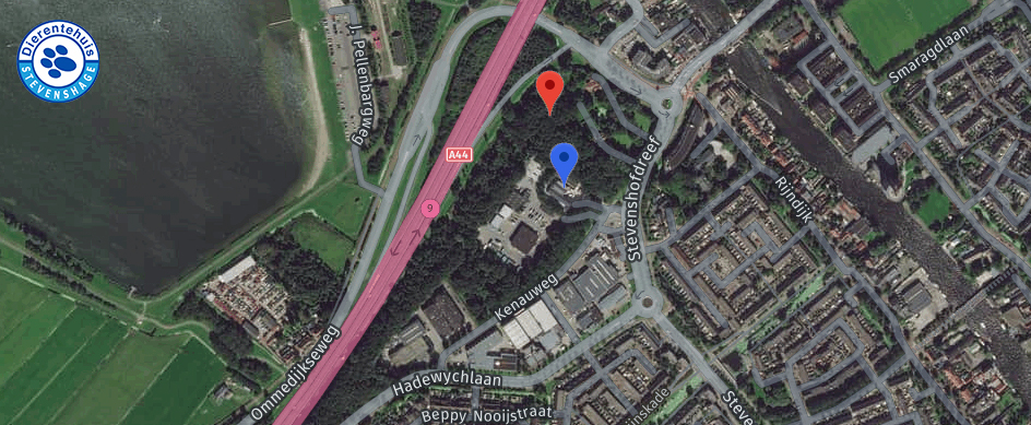De geplande bouwlocatie van de toren (rood) ligt vlak naast Dierentehuis Stevenshage (blauw)
