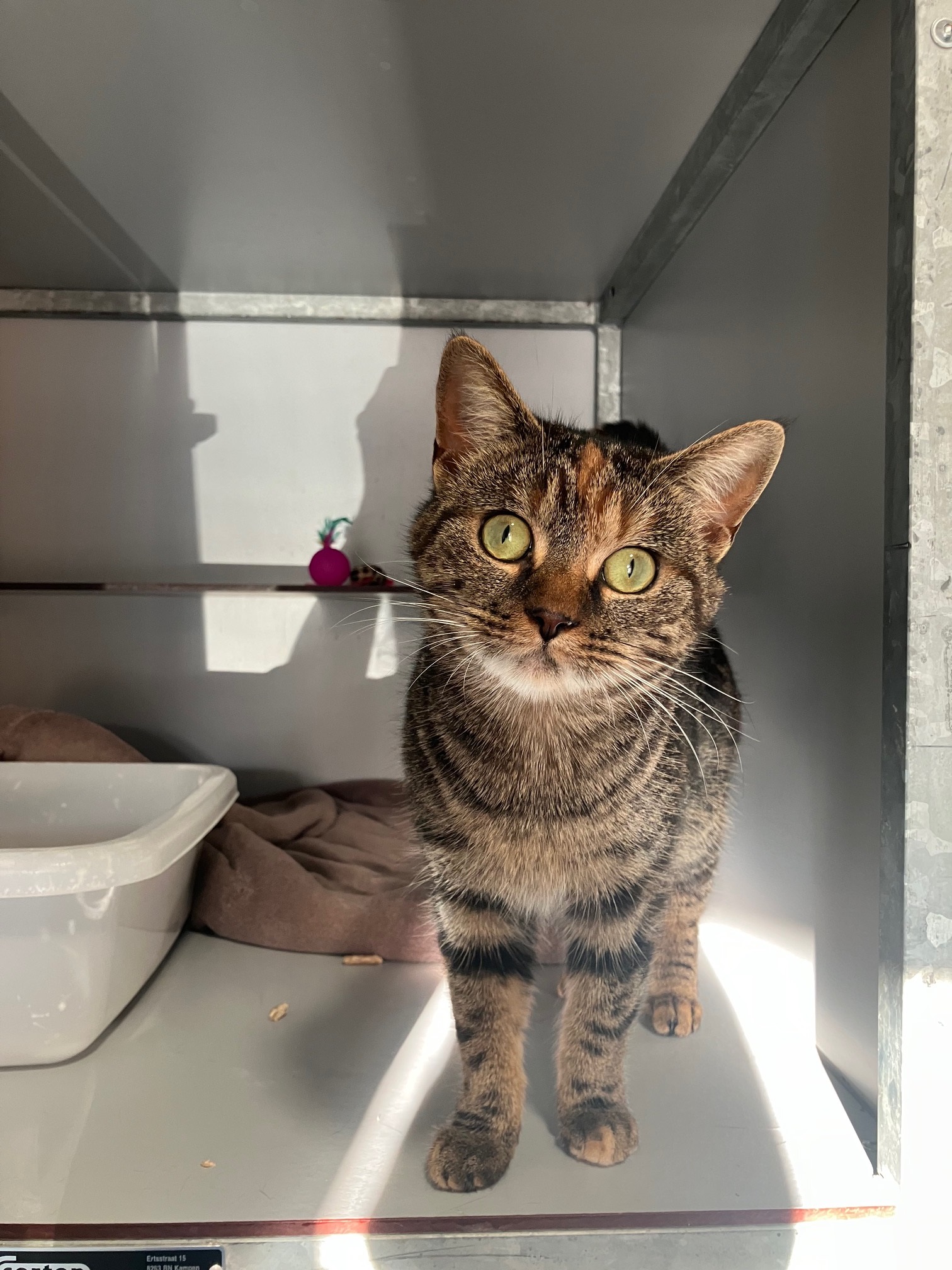 Mia
