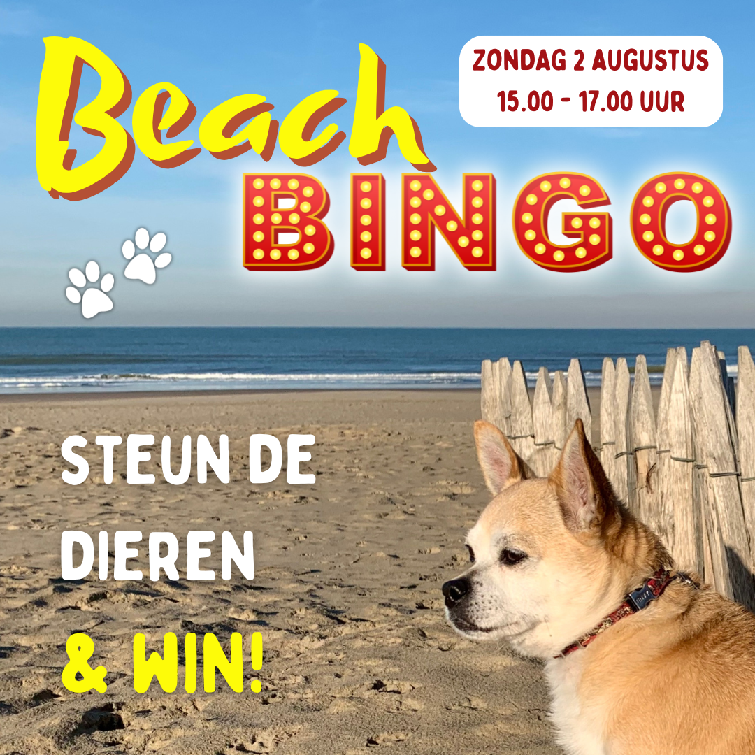 Beach Bingo 2026