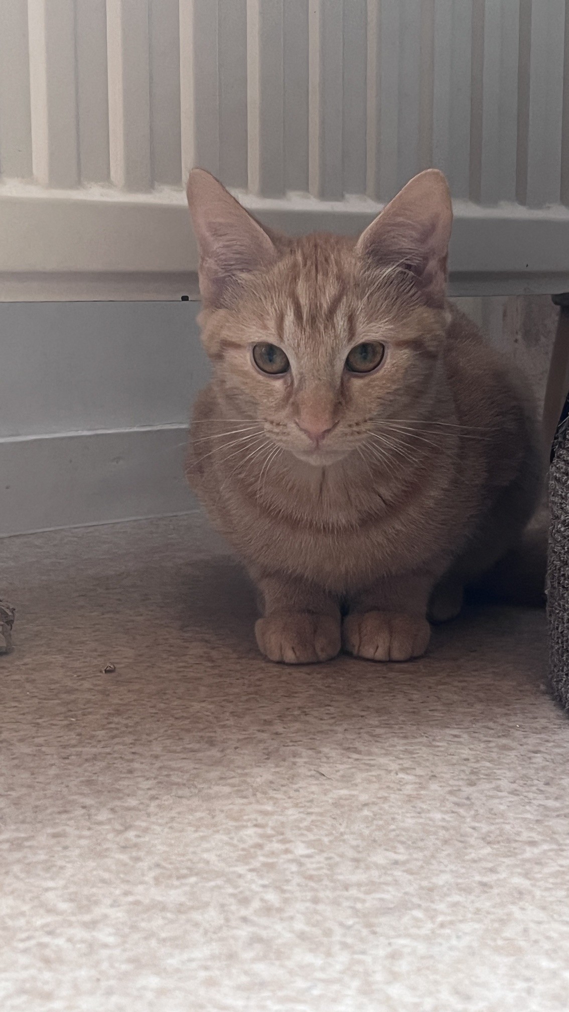Sneezy